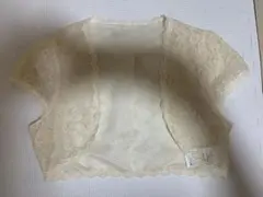 Item thumbnail for item 19017aae-7d85-49c1-a8f7-9963231b64b4