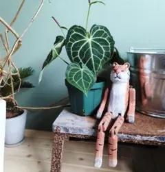 2025年最新】アンス クラリネルビウムの人気アイテム - メルカリ