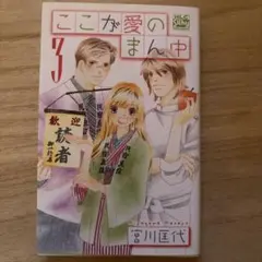 ここが愛のまん中 3