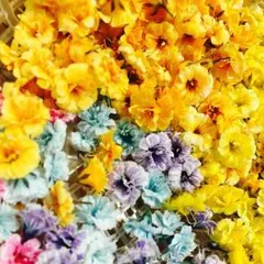 かすみ草 30個mix