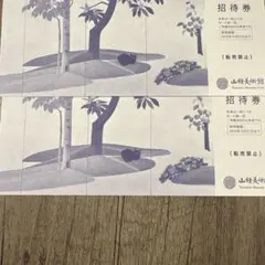 東京都渋谷区広尾・山種美術館　無料招待券ペアチケット2名分　12月27日まで有効のサムネイル