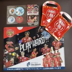 サントリーサンバーズ大阪　クリアファイル　フェイスシールビジュアルカード　勝グミ