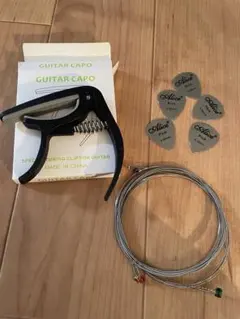 Item thumbnail for item ab04902c-a43f-4339-81a7-984bf19abed3