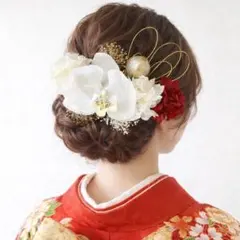 胡蝶蘭髪飾り ドライフラワー 結婚式 洋装和装 成人式振袖 卒業式袴 水引き 赤