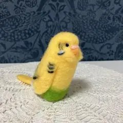 5☆セキセイインコ☆黄色ハルクイン☆実物大