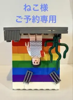 ねこ様⭐︎ご予約専用