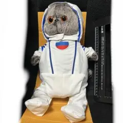 ぬいぐるみ（NASA宇宙飛行士ベアー） ぬいぐるみ（NASA宇宙飛行士ベアー） - メルカリ
