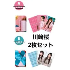 【川﨑桜　2枚セット】ビジュアルカードセット A B /ビリヤニ
