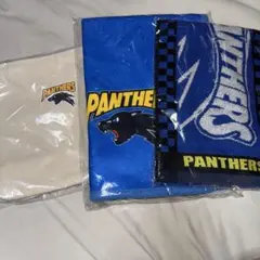 PANTHERS ロゴ入りブランケットとタオルとバッグ セット