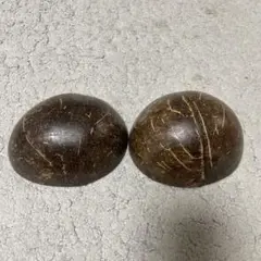 フラダンス　ココナッツ　楽器 ココナッツプニウ