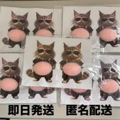 ねこ サングラス お腹ぷにぷにシール ステッカー ぷっくりお腹 おなか ボンボン