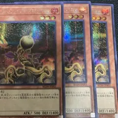 ローンファイア・ブロッサム