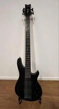 2026年最新】schecter DAMIENの人気アイテム - メルカリ