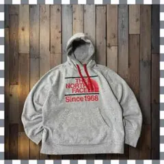 THE NORTH FACE ノースフェイス ロゴプルオーバーパーカーL