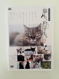 2026年最新】ネコメンタリー dvdの人気アイテム - メルカリ