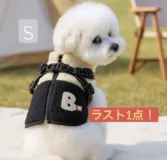 Item thumbnail for item 19562896-baa5-4fa9-8f28-286b330c3ec9