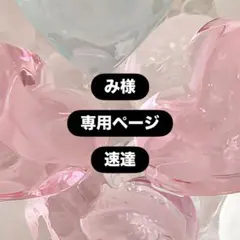 み様 専用ページ