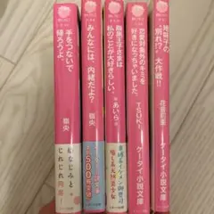 野いちご文庫　5冊