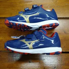 Item thumbnail for item 04dbda2b-f2dc-4f83-9107-2b6f6399e0df