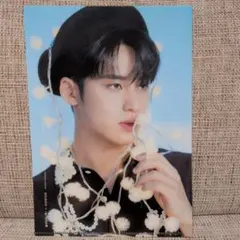 D'FESTA ディフェスタ SEVENTEEN ミンギュ