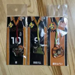 ハイキュー‼︎ ご当地アクリル根付　日向翔陽　影山飛雄　西谷夕　奈良
