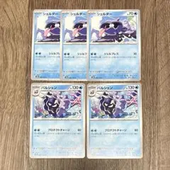 シェルダー パルシェン (計5枚)のサムネイル