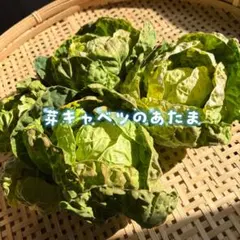 血糖値様　専用出品