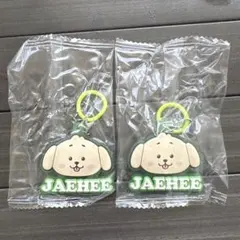 nctwish ジェヒJAEHEE ガチャガチャ 2個セット