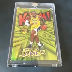 Item thumbnail for item a41cab89-9f96-48b8-946d-44476f8c1261