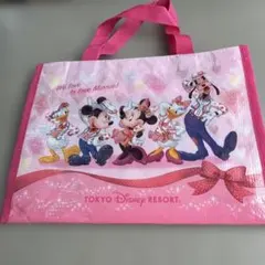 東京ディズニー　袋