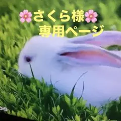 さくら様　専用