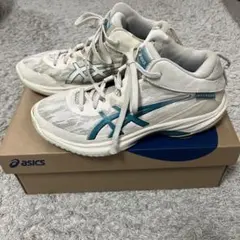 Item thumbnail for item 57bf6e03-0fb8-4205-ba82-3bd3239c4b0c