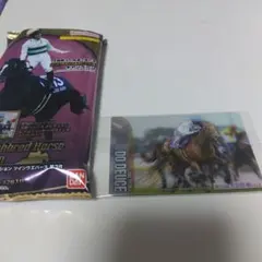 サラブレッドホースコレクション　ドウデュース　サイン入　武豊騎手