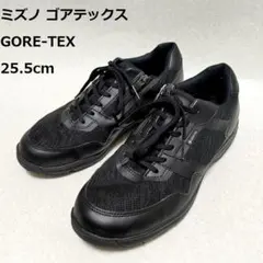 ミズノ　ゴアテックス　メンズ　ウォーキングシューズ　ジッパー付　25.5cm　黒