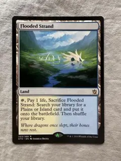 MTG 溢れかえる岸辺/Flooded Strand 日本語 foil - メルカリ