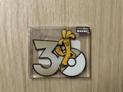 ポケモン30周年 マグネット ウソッキー 中国ポケセン限定 - メルカリ