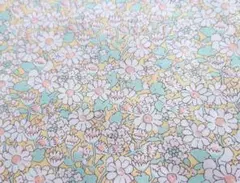 Item thumbnail for item 0e1377f9-99bd-41a5-815b-17b0932de5aa