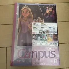 ディズニー　プリンセス　Campus B5 ノート 30ページ　5冊セット