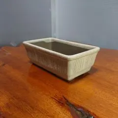 陶器製 植木鉢 クリーム色 長方形 盆栽鉢bonsai 多肉植物など