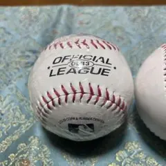 Official League 野球ボール とNIKEボールの2個セット