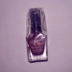 キャンメイク　カラフルネイルズ　N25