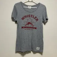 ROOTS WHISTLER BLACKCOMB Tシャツ グレー
