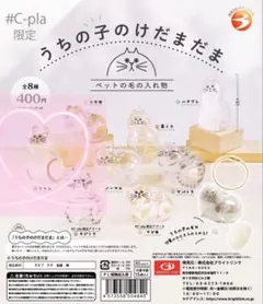 うちの子のけだまだま　シャム　正規品