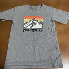 patagonia グレー Tシャツ XL(14)