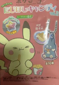 ポケピースツインチャーム　ポッチャマ&マグネットピカチュウ