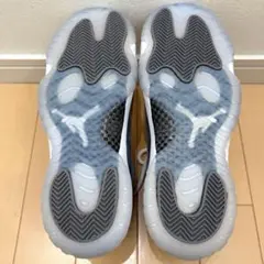 NIKE AIR JORDAN 11 RETRO Cool Grey 25.0㌢のサムネイル