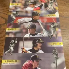 新品未使用　　くら寿司　　阪神タイガース クリアファイル　藤浪晋太郎