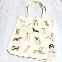 Item thumbnail for item 60699b87-dfd1-4ace-81ea-37801317010a