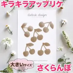 さくらんぼ グリッター ワッペン 大きいサイズ