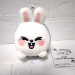 SKZOO GiGO限定 くっつきぬいぐるみ　スキズ